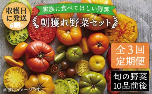 【全3回定期便】【福岡県 糸島産】朝採れ 野菜 セット（10品前後) 《糸島》【オーガニックナガミツファーム】 [AGE006]