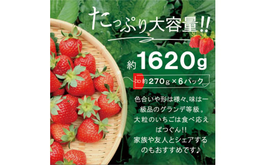 【全2回定期便】【先行予約・2025年3月初旬より順次発送】【 数量限定 】 あまおう いちご 1,620g (約 270g×6パック) 糸島市 / 株式会社HSP-テクノ グランデ 等級 福岡県産 [AZL006]