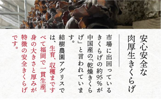 【全3回定期便】結樹農園 アグリス めんたい きくらげ 300g 《糸島》【結樹農園アグリス】きくらげ/国産/明太/明太子 [AAJ005]