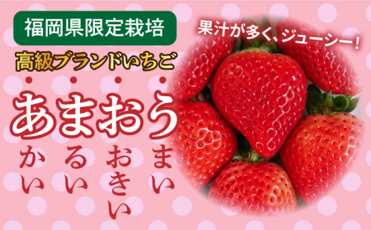 【全2回定期便】【農家直送！】糸島産あまおう 280g×2パック (DXおよびGサイズ) 【先行予約受付中・2024年12月より順次発送】 糸島市 / 後藤農園 いちご 福岡 [AML005]