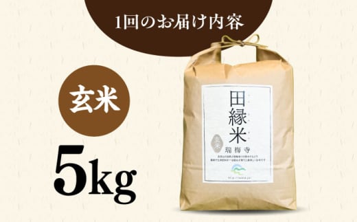 【全6回定期便】 田縁米(でんえんまい)・瑞梅寺(ずいばいじ) 玄米 5kg 糸島市 / NPO法人田縁プロジェクト 米 玄米 定期便 [ATM009]