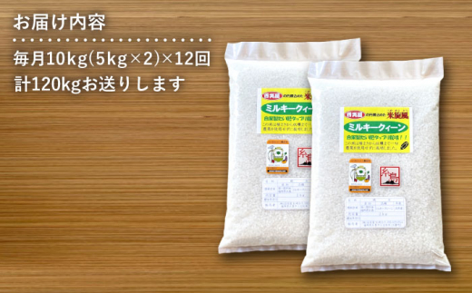 【全12回定期便】米 旋風 ミルキークイーン 10kg（ 5kg×2 ） 糸島市 / 百笑屋 [ABF019]