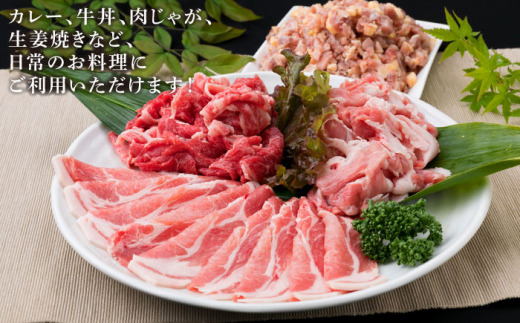 【全6回定期便】牛肉 豚肉 鶏肉 日常使いの精肉セット 930g 2～3人前 4種《糸島》【糸島ミートデリ工房】 [ACA194]