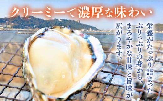 みるくがき 5kg ◆生食可 から付き 活牡蠣 糸島市 / 豊久丸牡蠣 牡蛎 カキ かき 生食 殻付き オイスター 糸島カキ ナイフ [AEJ006]