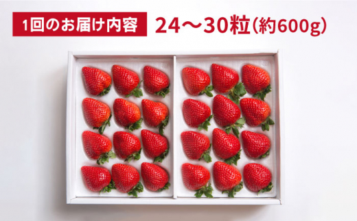 【先行予約】【全2回定期便】【2025年1月より順次発送】糸島産 あまおう ギフト 箱 毎月600g ( 24-30粒 )糸島市 / 南国フルーツ株式会社 [AIK028]