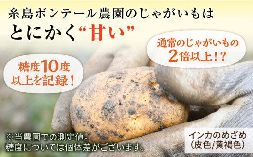 糸島育ちのジャガイモ 2種食べ比べ インカのめざめ/インカのひとみ 各2.5kg・計5kg 糸島市 / 糸島ボンテール農園 [ACO013]