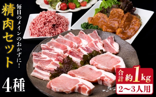 【使いやすい豚肉＆牛肉セット】毎日のメインのおかずを彩る 精肉 セット 4種 ( 約1kgg ) 2〜3人前 4種 糸島市 / 糸島ミートデリ工房 [ACA200]