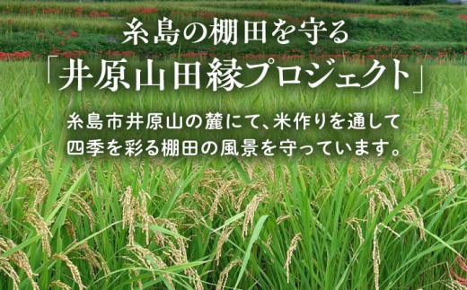 【新米先行予約】田縁米（でんえんまい）・天日（てんじつ）白米2kg 【2024年11月以降順次発送】糸島市 / NPO法人田縁プロジェクト [ATM001] 米 お米