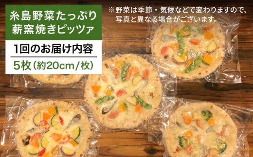 【全12回 定期便】大地の恵み！ 糸島産 の 野菜 をふんだんに使用した 薪 窯焼き ピッツァ 5枚 セット 《糸島市》【mamma-mia】 [AUH023]