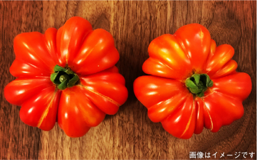 【 全12回 定期便 】 朝採り オーガニック 旬 野菜 お任せ 5品 ＋ 糸島産 大ヒット 特産 加工品 2品 のセット《糸島》【オーガニックナガミツファーム】 [AGE032]