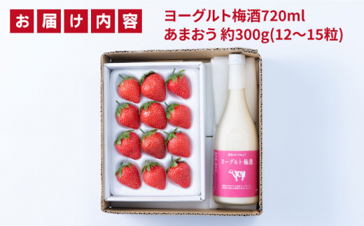 【先行予約】ヨーグルト梅酒720ml×あまおうギフト箱入り （12-15粒） 【2024年12月上旬以降順次発送】 糸島市 / 南国フルーツ株式会社 [AIK016]