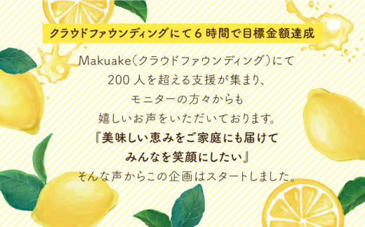 【全12回定期便】糸島 レモン チーズ ケーキ (桐箱 入り / リネン バック 付き) 糸島市 / 株式会社EARTH [ADI004]