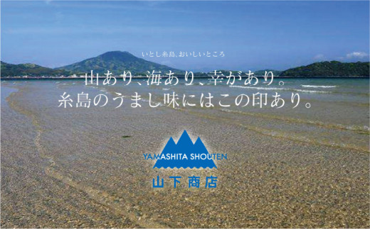 糸島の乾物 海藻 コンプリート セット《糸島》【山下商店】【いとしまごころ】[ANA006]