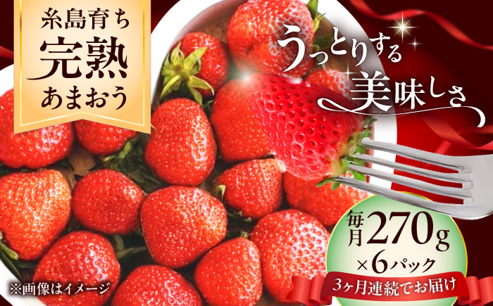 【全3回定期便】福岡県 糸島市産 完熟 あまおう いちご （約270g×6パック） 【2026年4月以降順次発送】 糸島市 / mhshops / 苺 イチゴ [AKQ006]