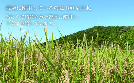 糸島産 ヒノヒカリ 5kg糸島市 / 糸島王丸農園　( 谷口汰一 )【いとしまごころ】 [AAZ010]