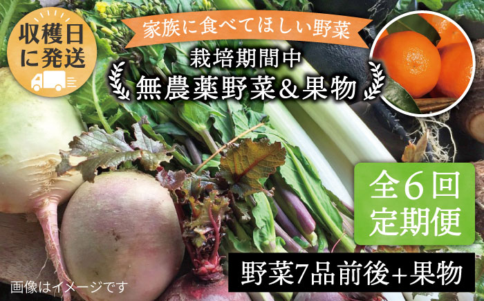 【 全6回 定期便 】 こだわり 野菜 （ 7品 前後 ） セット ＋ 果物 《糸島》【オーガニックナガミツファーム】  [AGE010]
