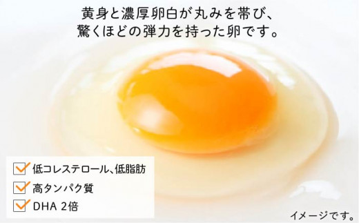 たまごかけご飯 セット ★ 卵 20個 / お米 5kg / たまごかけ ご飯 専用 醤油 糸島市 / 株式会社おおはまファーム [AKH012]