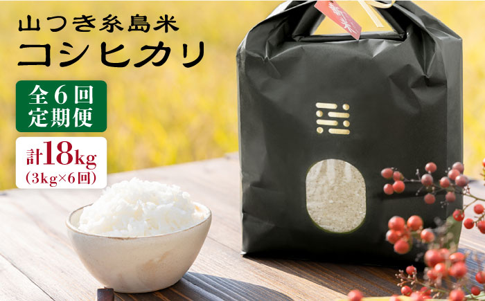 【全6回定期便】 糸島 で 農薬 を使わずに育てた山つき 糸島米 3kg （ コシヒカリ ） 糸島市 / 株式会社やました [ARJ013]