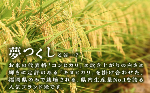 【全6回定期便】糸島産 夢つくし 10kg 糸島市 / 三島商店 [AIM012]