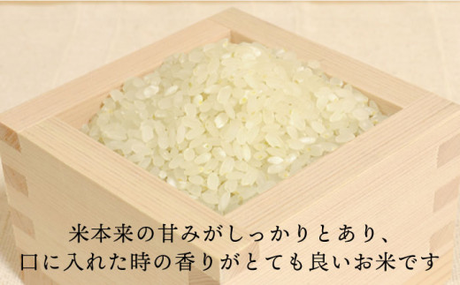 【全6回定期便】 糸島産 夢つくし 10kg×6回（月1回）　糸島市 / 糸島王丸農園 ( 谷口汰一 )【いとしまごころ】[AAZ007]