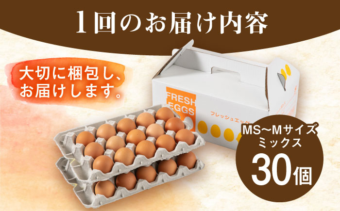 【全6回定期便】【30個×6ヶ月】黄身にコク！白身に甘み！てつやとのりこの玉子 板垣ファーム [AWD009]