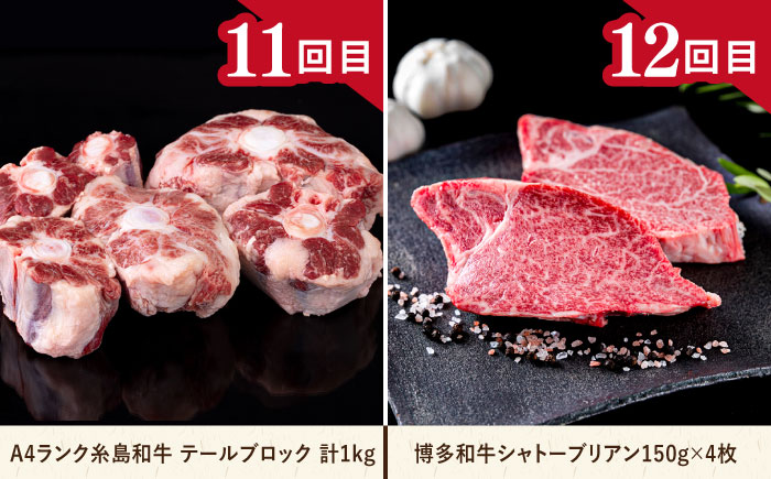 【全12回定期便】糸島・贅沢お肉定期便 毎月3〜4人前 （ 博多和牛 糸島和牛 糸島豚 はかた地どり イノシシ ウインナー シャトーブリアン ステーキ ハム ソーセージ ハンバーグ ） 糸島市 [AAH009] 地鶏 モモ  ハンバーグ ジビエ 肩ロース 焼肉 水炊き お肉 牛肉 豚肉