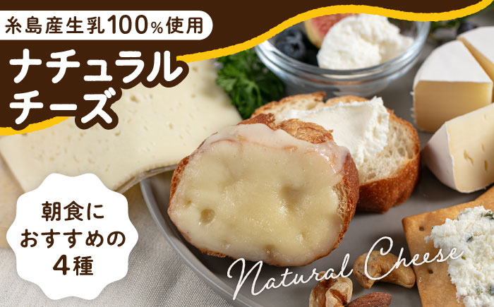 糸島産生乳100％使用 手作り チーズ 4種 TAKセレクト【モーニング】 糸島市 / 糸島ナチュラルチーズ製造所TAK-タック- [AYC014]