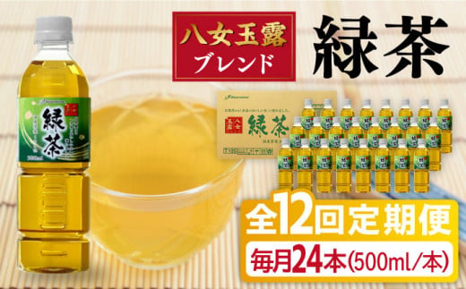 【全12回定期便】八女 玉露入り 緑茶 500ml × 24本  糸島市 / スターナイン お茶 ペットボトル [ARM017]