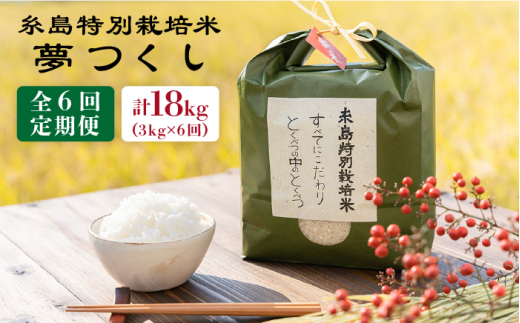 【全6回定期便】 とくべつ の中の とくべつ 糸島 特別栽培米 3kg （ 夢つくし ） 糸島市 / 株式会社やました [ARJ004]