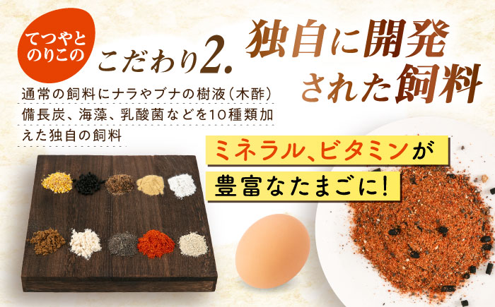 《月2回 × 20個 3ヶ月コース》卵 てつやとのりこの玉子 全6回定期便 糸島市 / 板垣ファーム [AWD012]