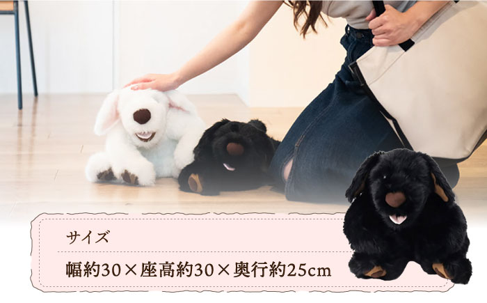 犬型セラピー？！ロボット？パトランの黒（通称：クロラン） 犬 ぬいぐるみ 糸島市 / 科学工房未來 [AYI002]