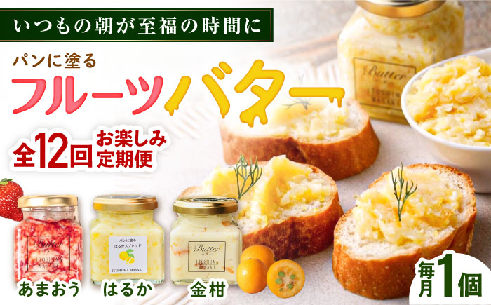 【全12回定期便】お楽しみ定期便 フルーツバター大1個 糸島市/糸島正キ ジャム クリーム 果物 [AQA064] バター フルーツバター フルーツ 果物 いちご あまおう みかん 金柑