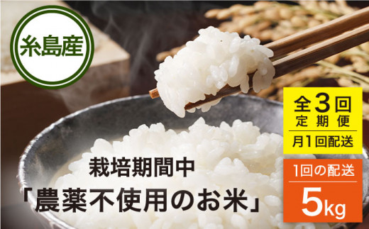 【全3回(月1回)定期便】 栽培期間中 農薬不使用のお米 ヒノヒカリ 5kg 糸島市 シーブ [AHC041]