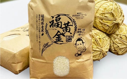 たまごかけご飯 セット ★ 卵 10個 / お米 2kg / たまごかけ ご飯 専用 醤油 《糸島》【株式会社おおはまファーム】 [AKH009] 鶏卵 卵 平飼い 平飼い卵 玉子 たまご 卵かけご飯 玉子かけご飯 TKG