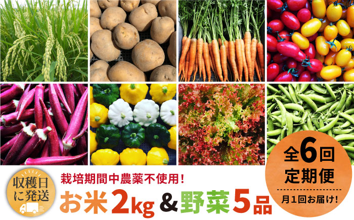 【全6回定期便】【☆畑直送☆栽培期間中農薬不使用！】お 米 2kg & 野菜 5品 の セット 糸島市 / オーガニックナガミツファーム  [AGE037]