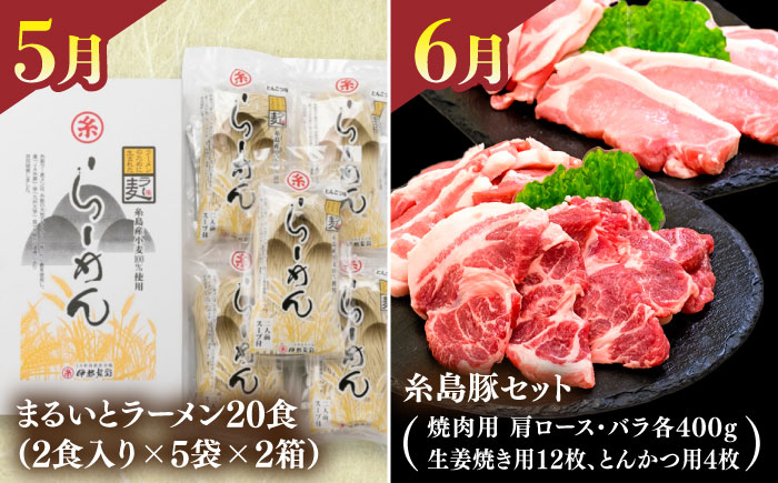 【全12回】【限定30セット】伊都菜彩 プレミアム 定期便 (2人前) 糸島の山の幸、海の幸が詰まったバイヤーオススメの年間定期便 糸島市 / JA糸島産直市場 伊都菜彩 [AED011]