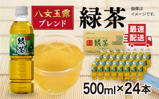 八女 玉露入り 緑茶 500ml × 24本  糸島市 / スターナイン お茶 ペットボトル [ARM004]