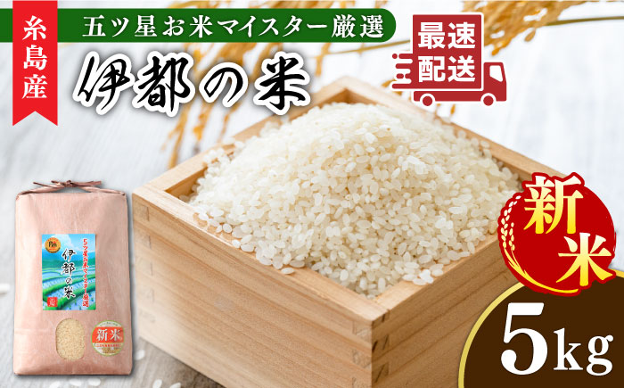 【令和6年産新米】伊都の米 5kg  糸島市 / 納富米穀店 [ARL001] 白米 玄米 お米