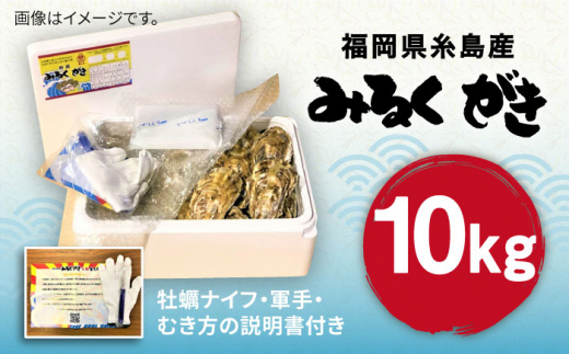 みるくがき 10kg ◆生食可 から付き 活牡蠣 糸島市 / 豊久丸牡蠣 生カキ 生食用 殻付き カキ 生牡蛎 [AEJ008]