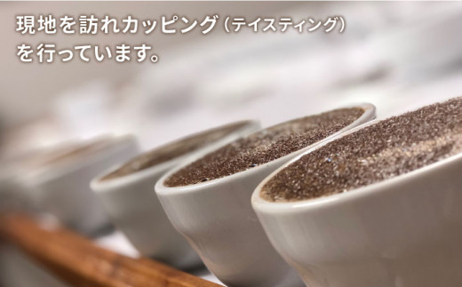 中煎り コーヒー 豆 ウニドスブレンド 250g × 2袋 （ 豆 ・ 粉 選べます ）《糸島》 【COFFEE UNIDOS】 [AQF012]