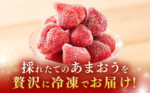 【農家直送！】 冷凍あまおう 1kg（500g×2パック）いちご 苺 糸島市 / みのりのりん [ABD006]