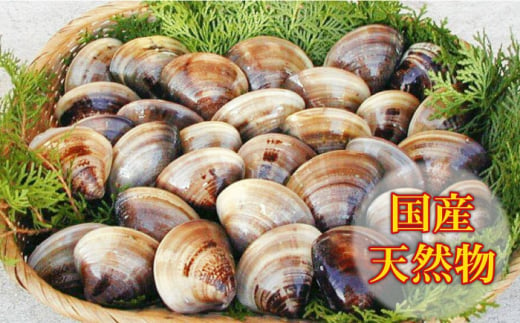 殻付き牡蠣 2kg （24個前後） + はまぐり（10粒） セット 真牡蠣 生食用 糸島市 / ひろちゃんカキ [AJA009]