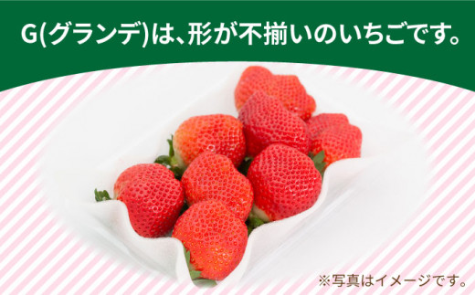 【 期間 限定 】 福岡県 糸島産 いちご あまおう 270g×4 パック 糸島市 / 伊都菜彩 [AED012]