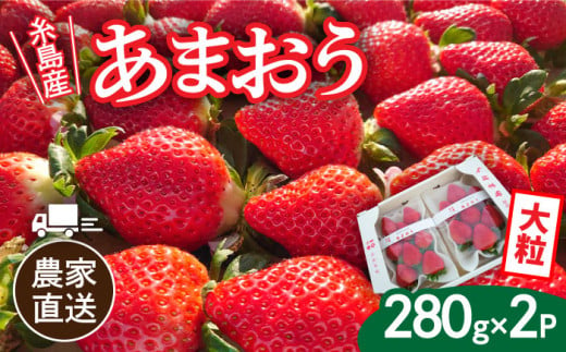 【先行予約】【農家直送！】糸島産あまおう 280g×2パック (DXまたはGサイズ)   【2024年12月以降順次発送】糸島市 / 後藤農園 [AML001] いちご 福岡