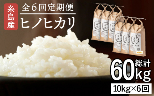 【全6回定期便】糸島産 ヒノヒカリ 10kg×6回糸島市 / 糸島王丸農園 ( 谷口汰一 )【いとしまごころ】 [AAZ016]