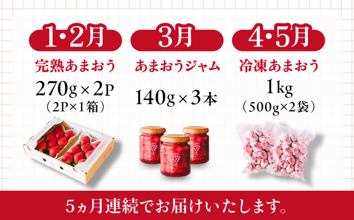 【全5回定期便】糸島産あまおうお楽しみ定期便 あまおう2パック×2回 / あまおうジャム3本 / 冷凍あまおう1kg 糸島市 / slowberry strawberry [APJ008]