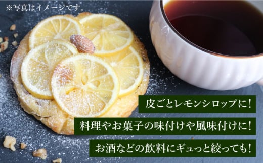 【防腐剤・ワックス不使用】【訳あり】糸島れもん B 3kg（30個前後） 糸島市 / 株式会社 糸島れもん 国産 レモン [AYL002]