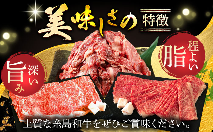 【全12回定期便】希少和牛！糸島和牛 こまぎれ 1kg 糸島市 / トラヤミートセンター 牛肉 黒毛和牛 [AJD020]