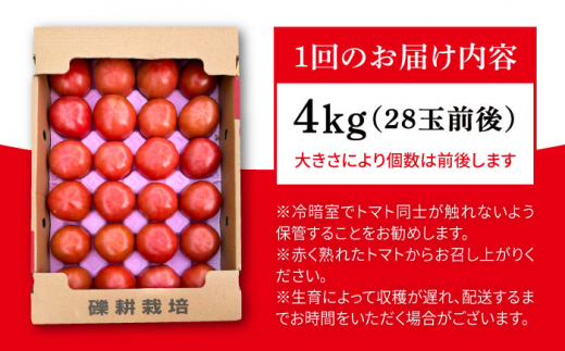 【全3回定期便】糸島産 絶品トマト かれん (4kg28玉前後) 糸島市 / シーブ 野菜 とまと 大玉トマト [AHC066]