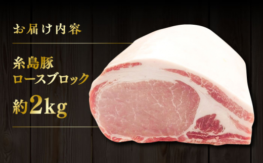 糸島豚 ロース ブロック肉 2kg 糸島市 / ヒサダヤフーズ 豚 豚肉 [AIA068]